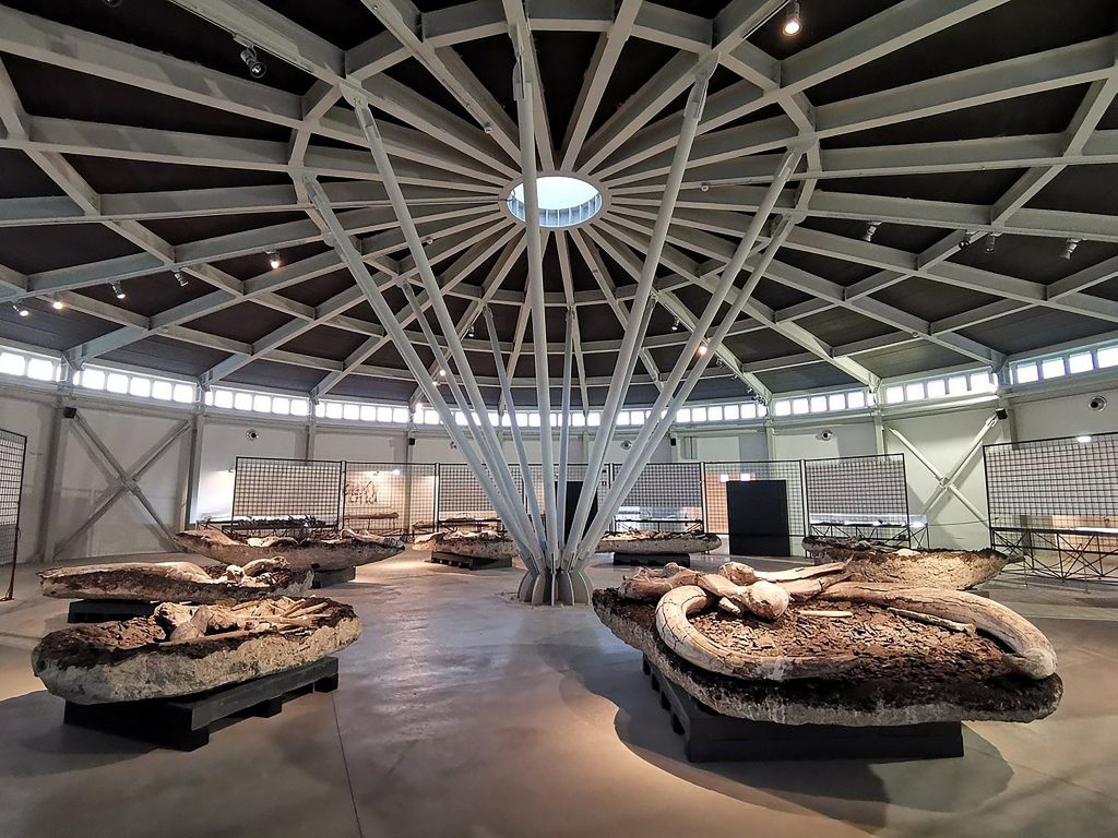 Museo Paleontologico Luigi Boldrini di Pietrafitta: chiusura eccezionale