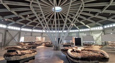 Museo Paleontologico Luigi Boldrini di Pietrafitta: chiusura eccezionale